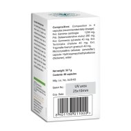 AyurSlim Himalaya – Control de Peso y Metabolismo - Imagen 2